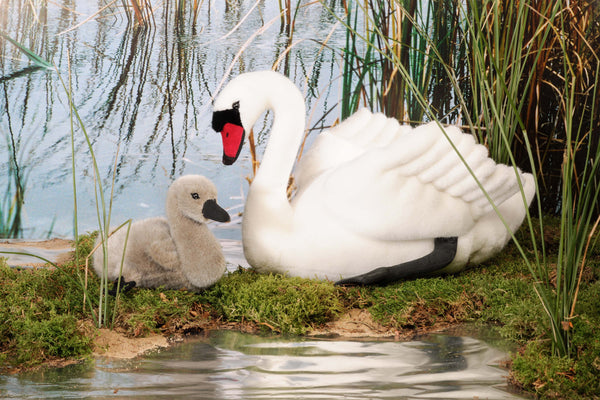 Kösen F7710 Schwan groß